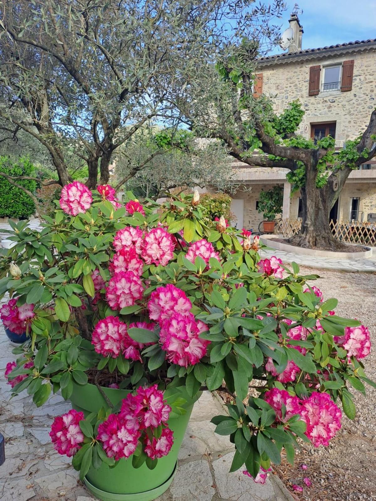 Gite 3 "Le Canal De Baza" Aux Magnolias Обена Екстер'єр фото