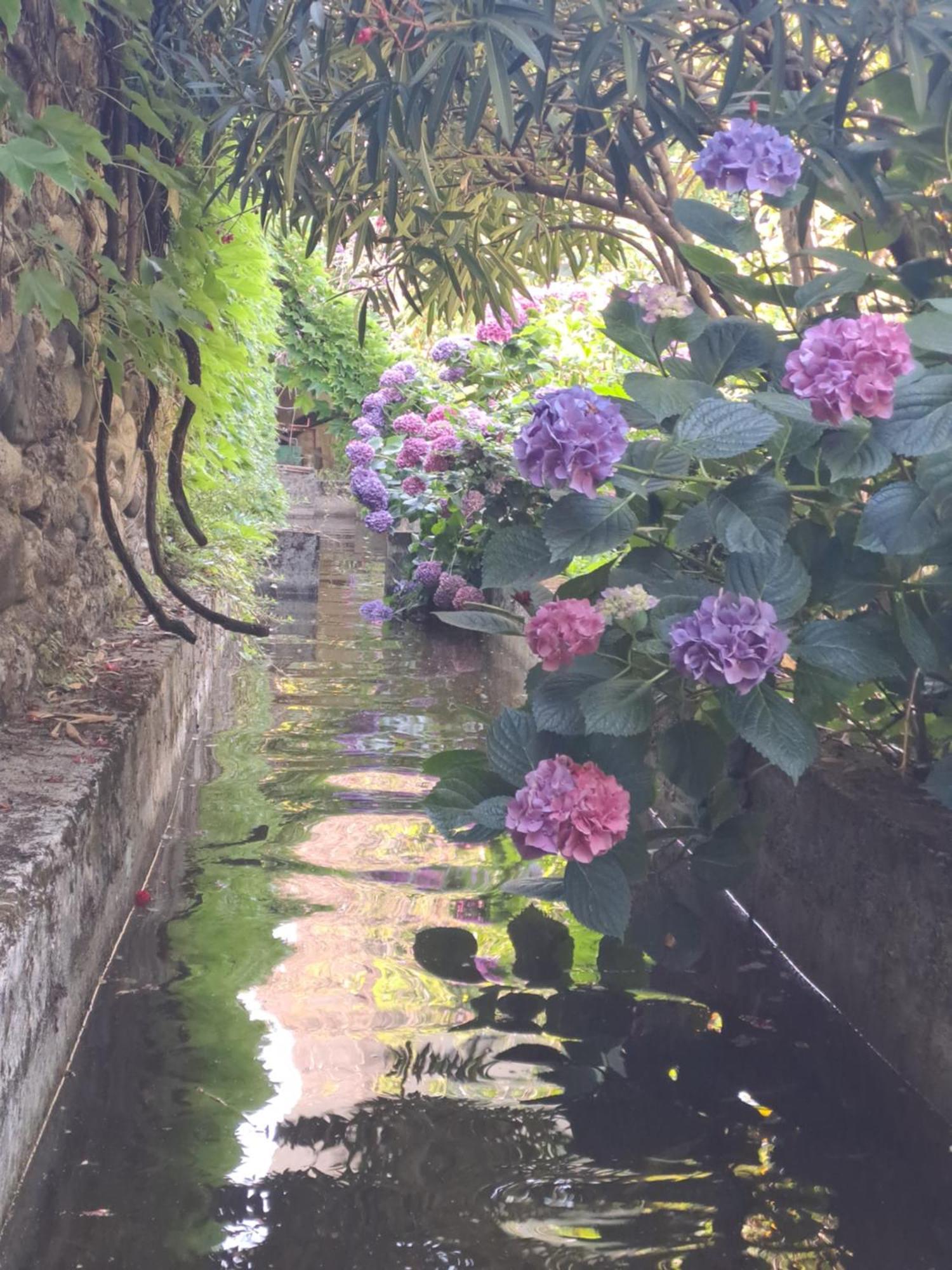 Gite 3 "Le Canal De Baza" Aux Magnolias Обена Екстер'єр фото