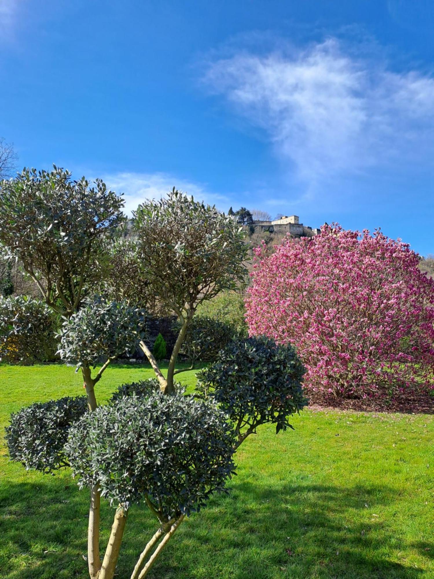 Gite 3 "Le Canal De Baza" Aux Magnolias Обена Екстер'єр фото